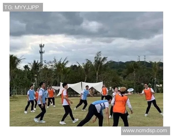 飞盘精神：追寻上海飞盘队拼搏与团结的真实故事